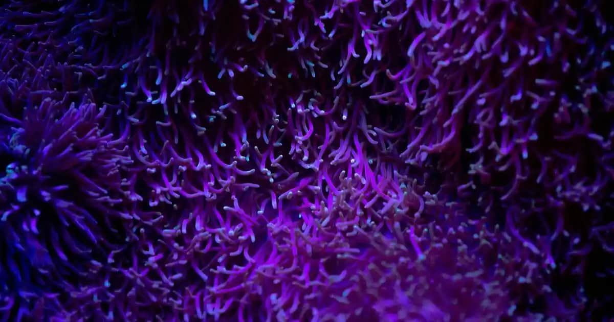 Bismillahirrahmanirrahim Yazılı Tablolar ile İç Mekânda Manevi ve Estetik Denge