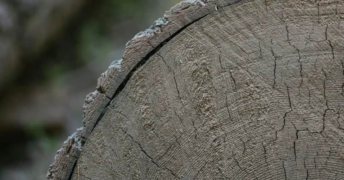Bohem Lambaderler ile Evinizde Sanatsal ve Sıcak Atmosfer Yaratın