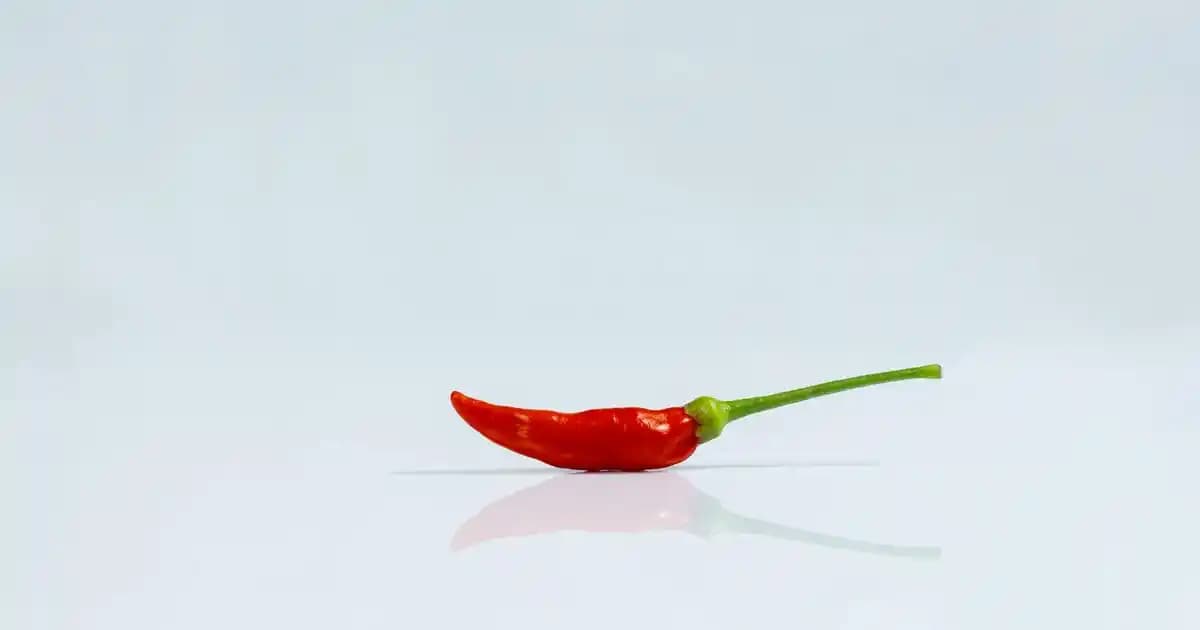 Bordo Rugan Stiletto ve Dekorasyon Trendleriyle Şıklığı Yakalayın