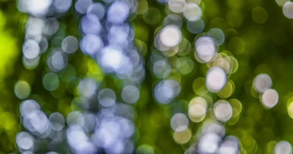 Çam Ağacı Mobilyaları: Doğal Şıklık ve Dayanıklılığıyla Dekorasyonunuza Yenilik Katın