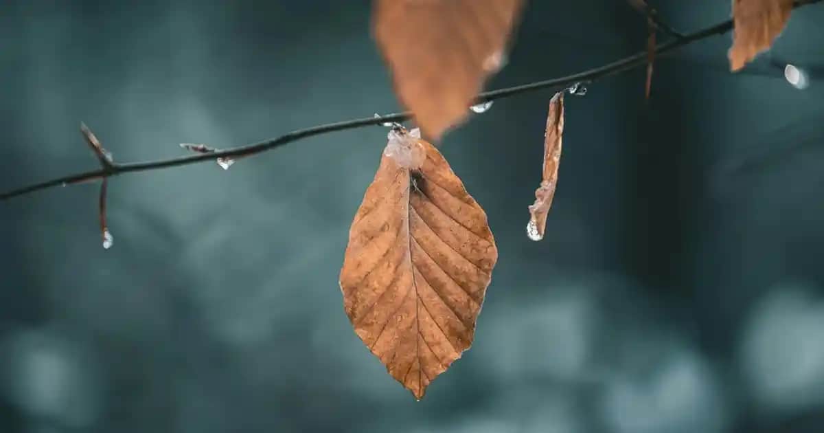 Çantalı Masa ve Sandalye Setleri: Taşınabilirlik ve Estetiğin Modern Çözümü