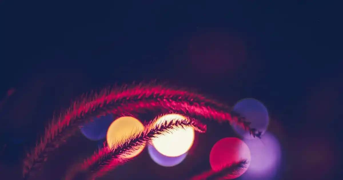 Çerçeveli Cam Tablo Dekorasyonu: Modern ve Şık Mekanlar İçin İpuçları