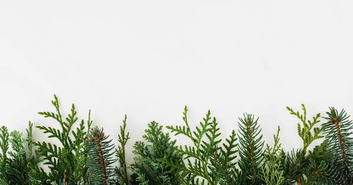 Çerçeveli Tablo Dekorasyonunda Stil ve Anlamı Yansıtan Modern Seçenekler