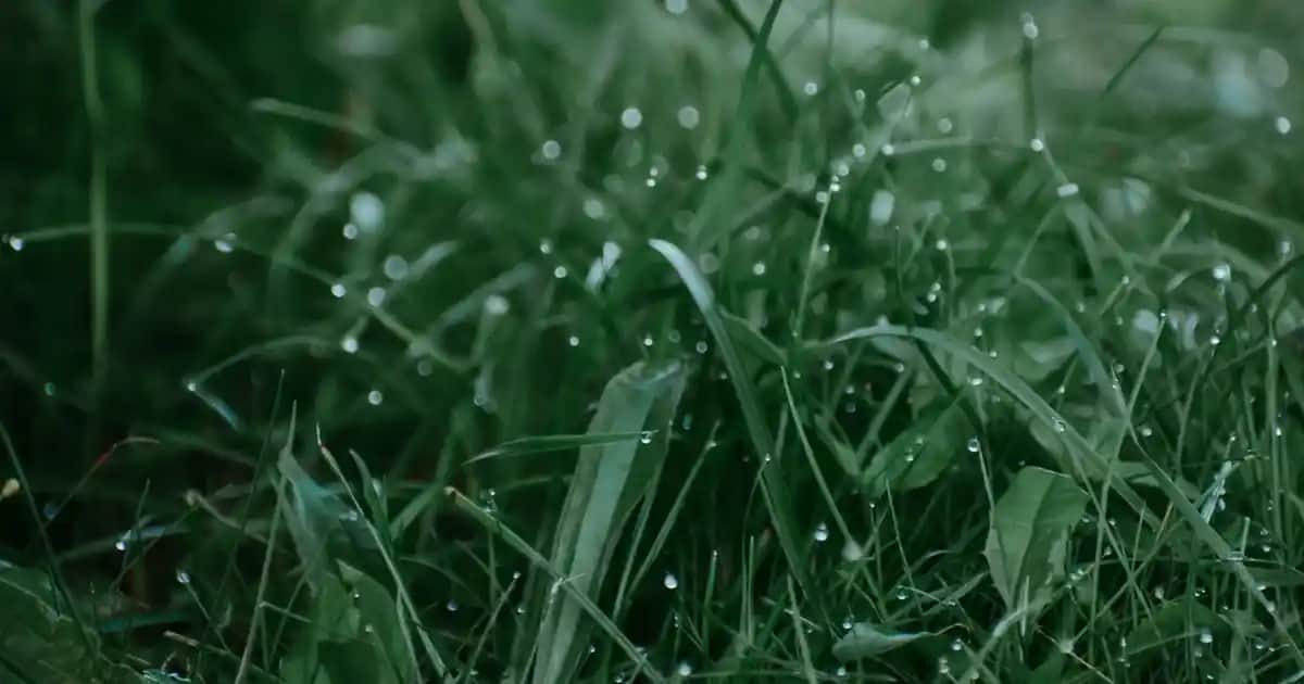 Çiçek Sehpa Modelleri ile Dekorasyonunuza Zarif ve Fonksiyonel Dokunuşlar Ekleyin