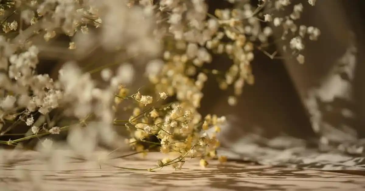 Çiçek Sehpeleriyle Evinizde Doğal ve Şık Bir Atmosfer Yaratma Rehberi