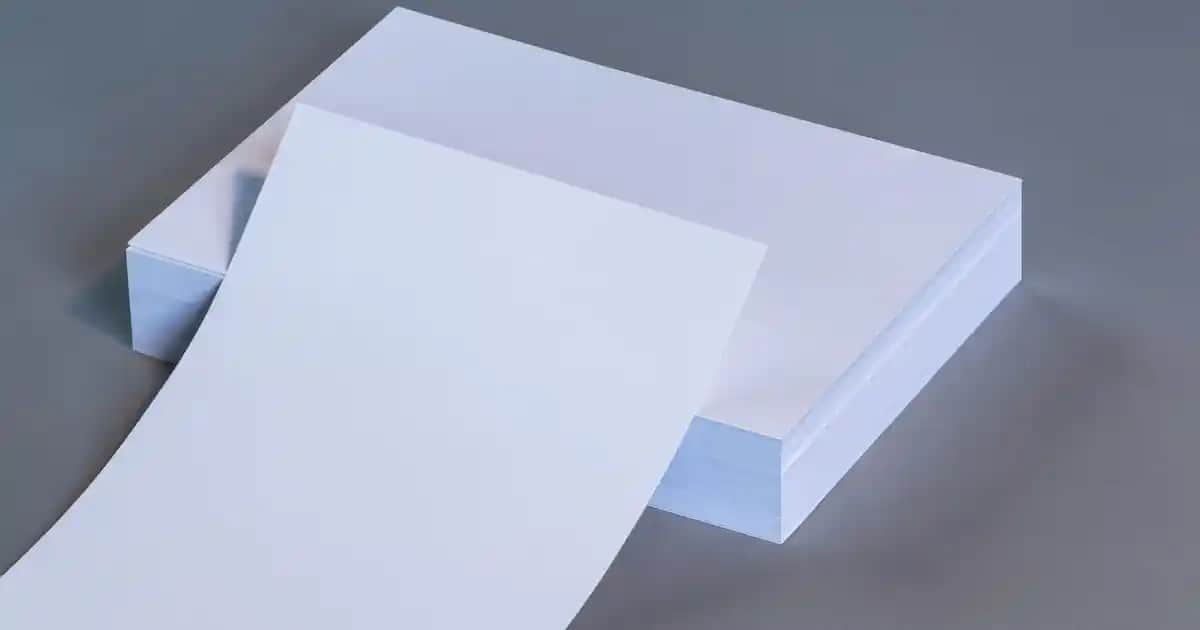 Çiçek Temalı Tablo Seçenekleriyle Evinize Doğal ve Şık Bir Atmosfer Katın