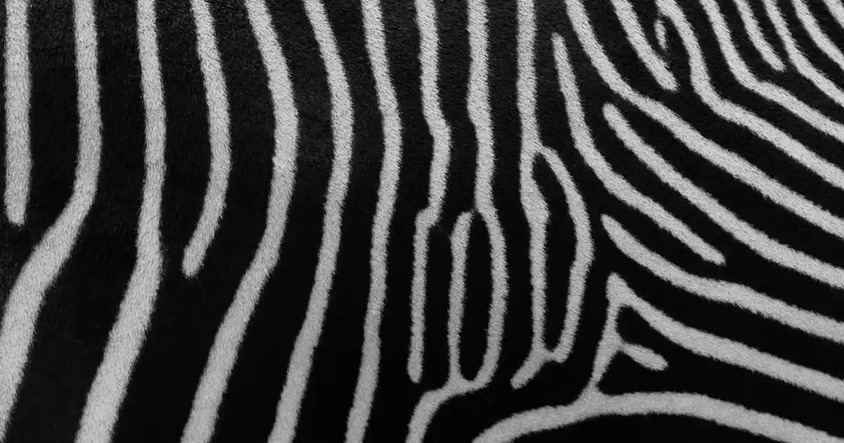 Çiçekten Tablo Yapımıyla Doğal ve Şık Dekorasyon Fikirleri ve Uygulama Rehberi