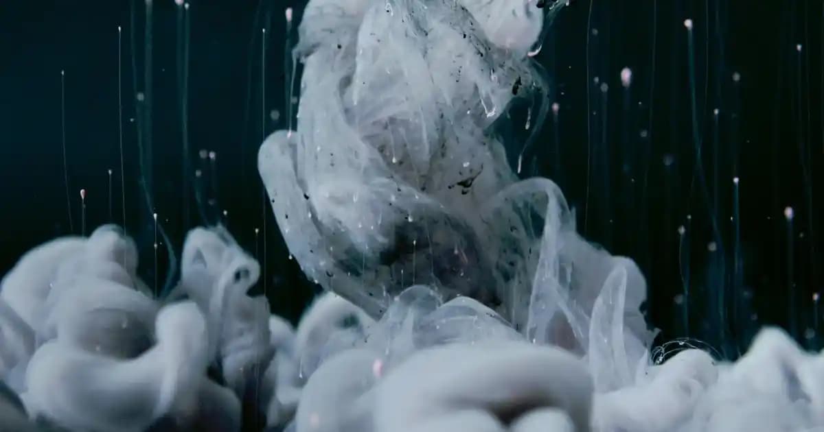 Çift Renkli Mutfak Dolaplarıyla Modern ve Şık Mutfak Tasarımları Rehberi