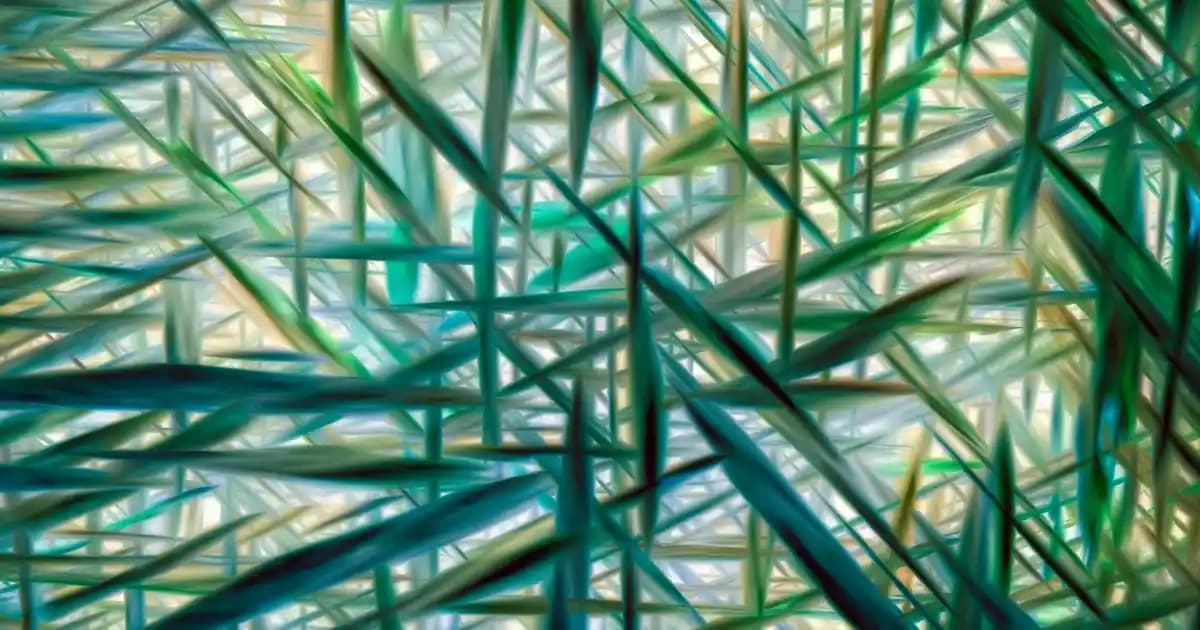 2025'te Çift Taraflı Çaydanlıklarla Mutfakta Pratiklik ve Şıklık