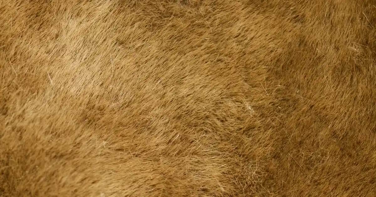 Çini Vazolar ile Evinize Sanat ve Zarafet Katmanın Yolları