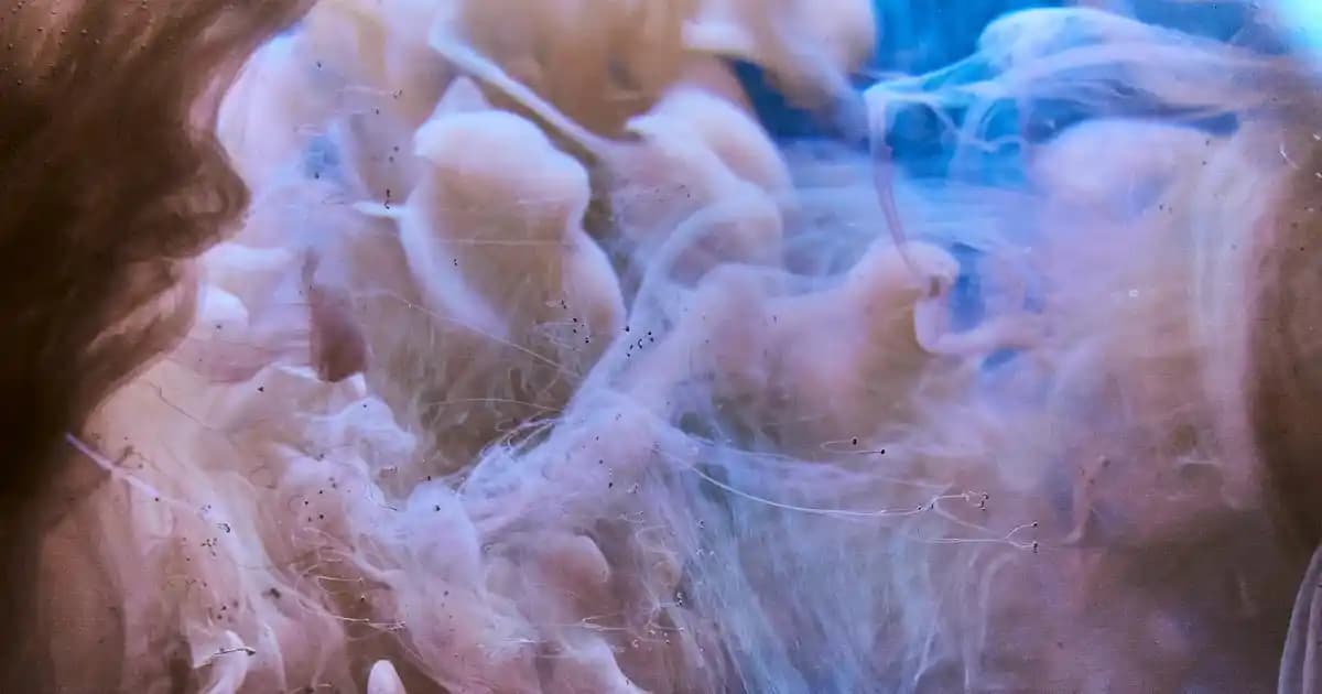 Çinko, Magnezyum ve Selenyum Takviyelerinin Sağlık ve Dekorasyona Katkısı