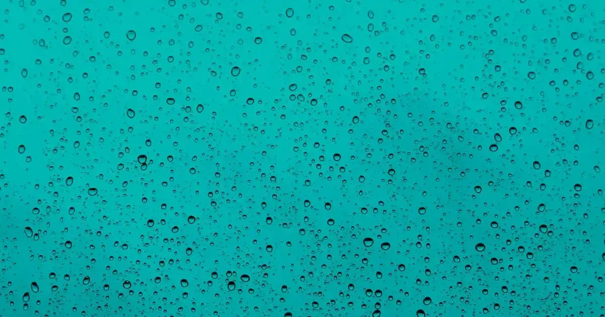 Çocuk Odası Halısı Modelleri ve Dekorasyon İpuçları Güvenli ve Renkli Seçenekler