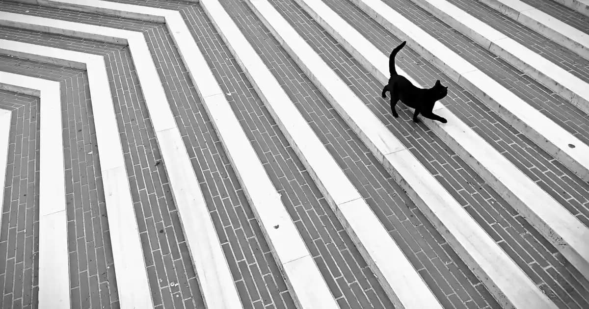 Damla Avize Modelleriyle Evinize Şıklık ve Işıltı Katmanın Yolları