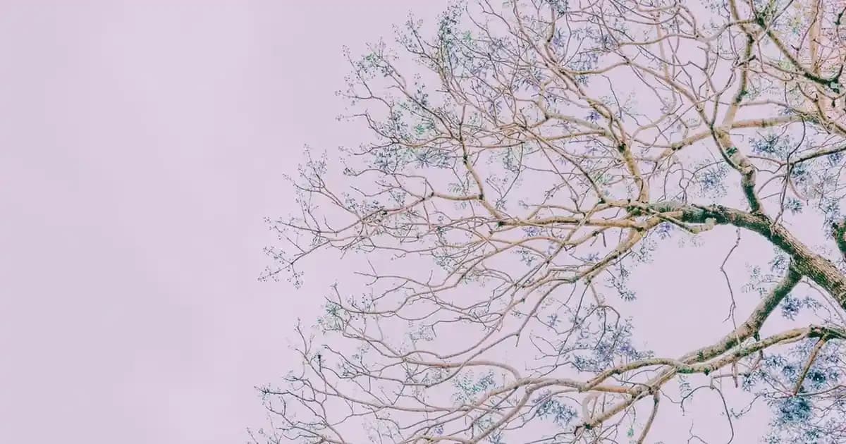 Dekorasyonda Şık ve İşlevsel Sehpa Modelleriyle Mekanlarınızı Yenileyin