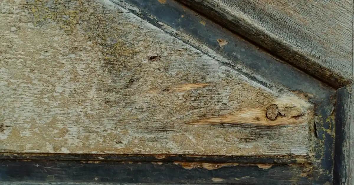 Dekoratif Şemsiye Yapımı: Estetik ve El İşçiliğinin Buluşması