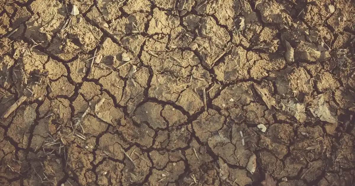 Dekoratif ve İşlevsel Battaniye Sepetleri ile Ev Dekorasyonunuzu Zenginleştirin