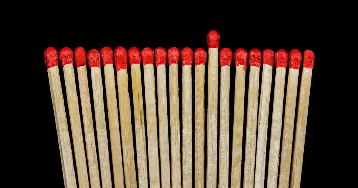 Dış Mekânlar İçin Branda Perde Sistemleri Dekorasyon ve Koruma Çözümleri