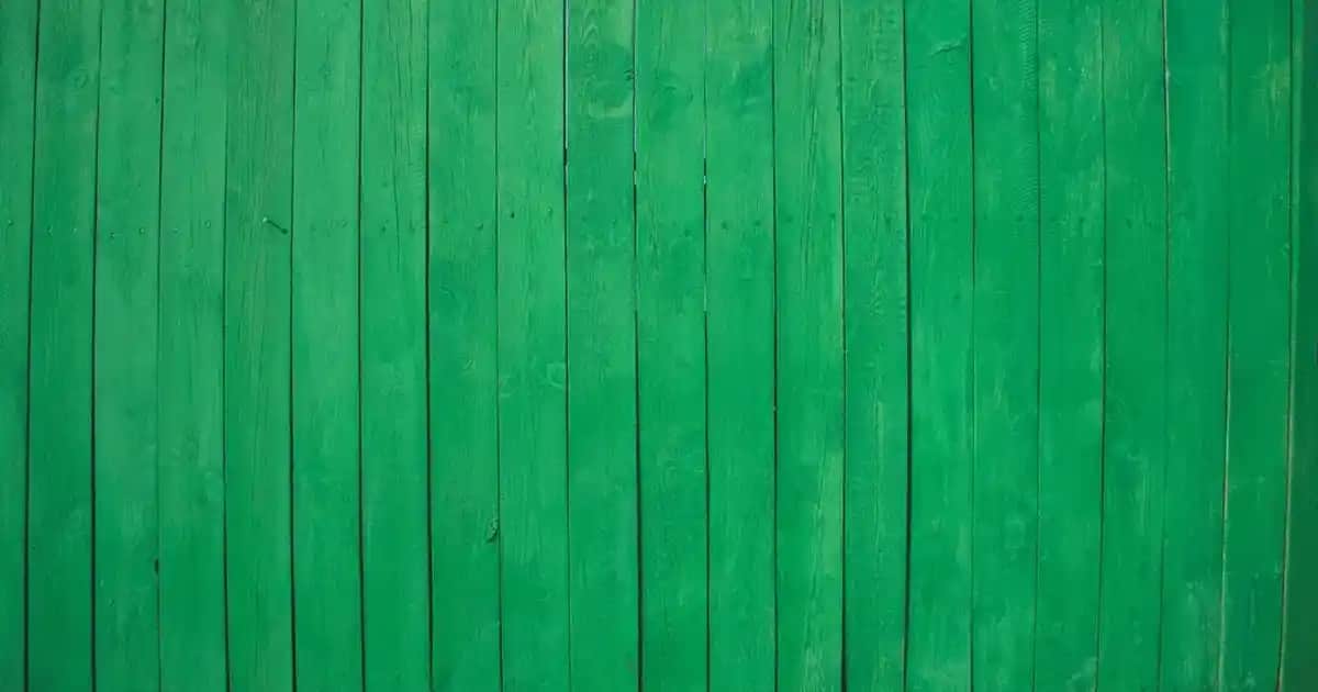 Diz Battaniyesi Modelleri ve Dekorasyonda Kullanım İpuçları