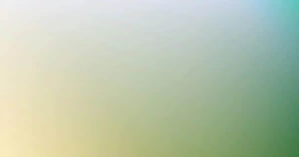 Doğal Hasır Kilim ile Ev Dekorasyonunda Sıcak ve Otantik Atmosfer Yaratma Rehberi