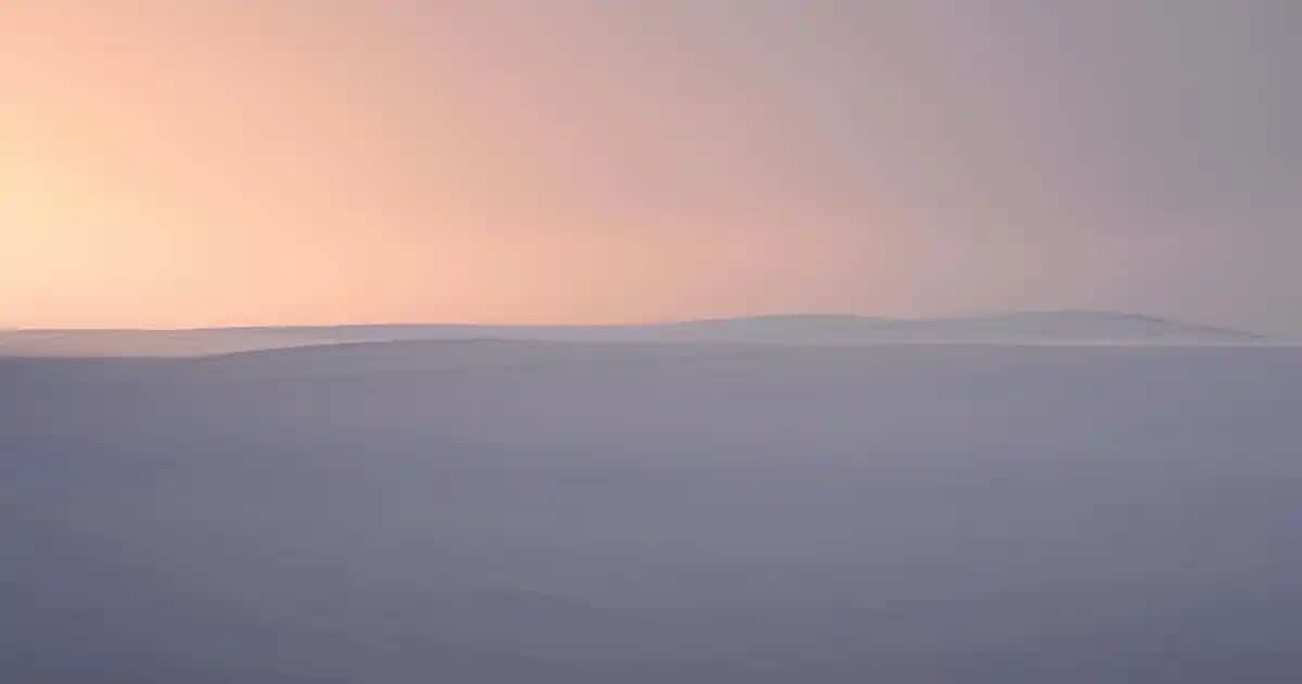 Dolap Kargo Bedava Kodu ile Ekonomik ve Şık Dekorasyon Fırsatları 2025