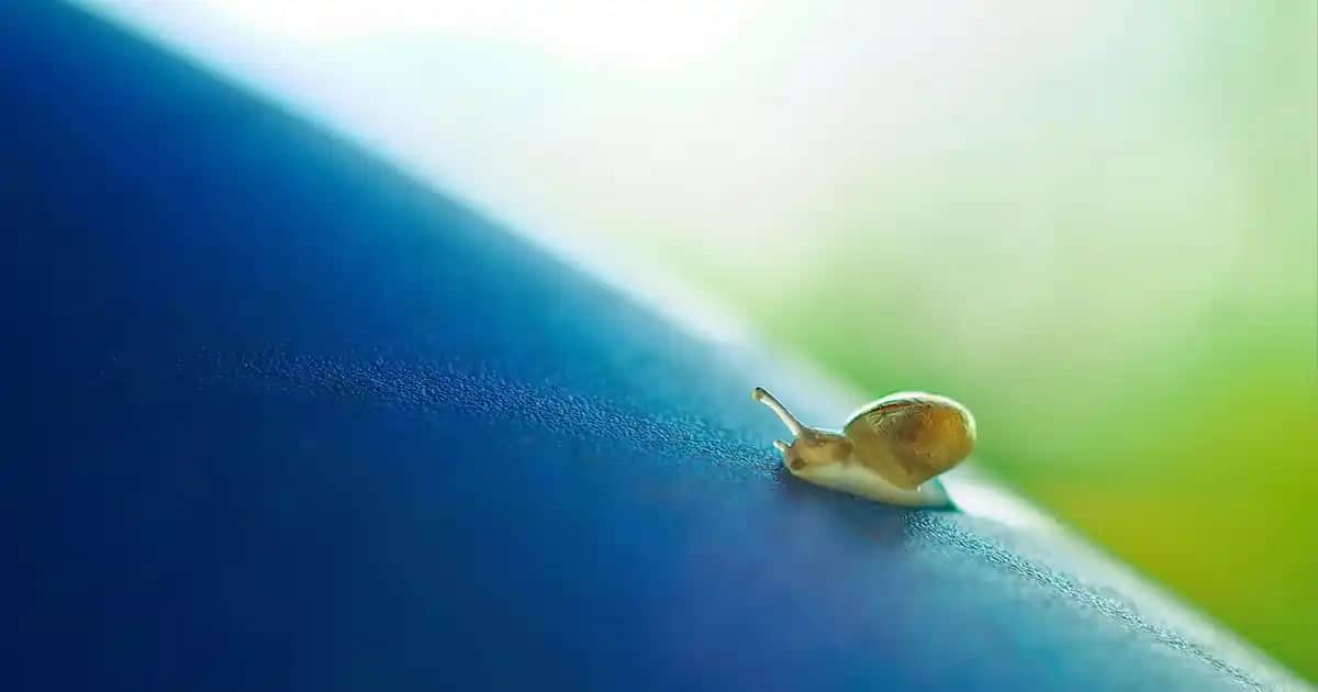 Duvar Lambaderleri ile Modern ve Şık Dekorasyon Çözümleri Sunan Modeller