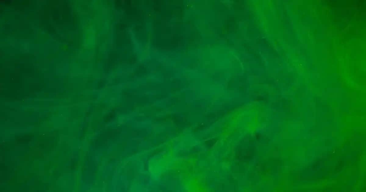 Ev Dekorasyon Ürünleri ile Mekânınızı Geliştirin ve Kişiselleştirin