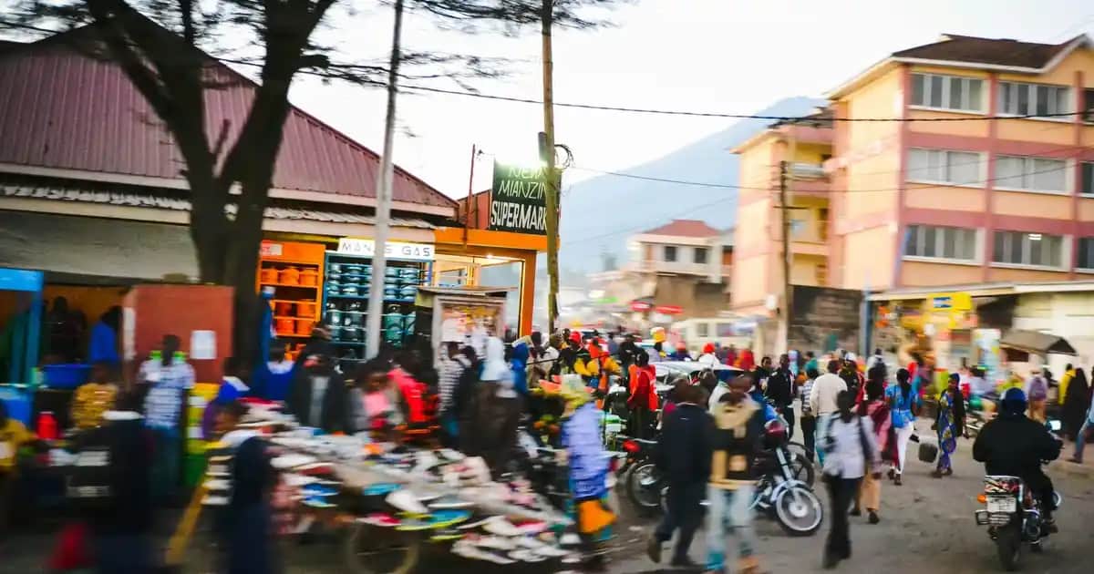Fincan Avize ile Modern ve Şık Dekorasyon Çözümleri Rehberi