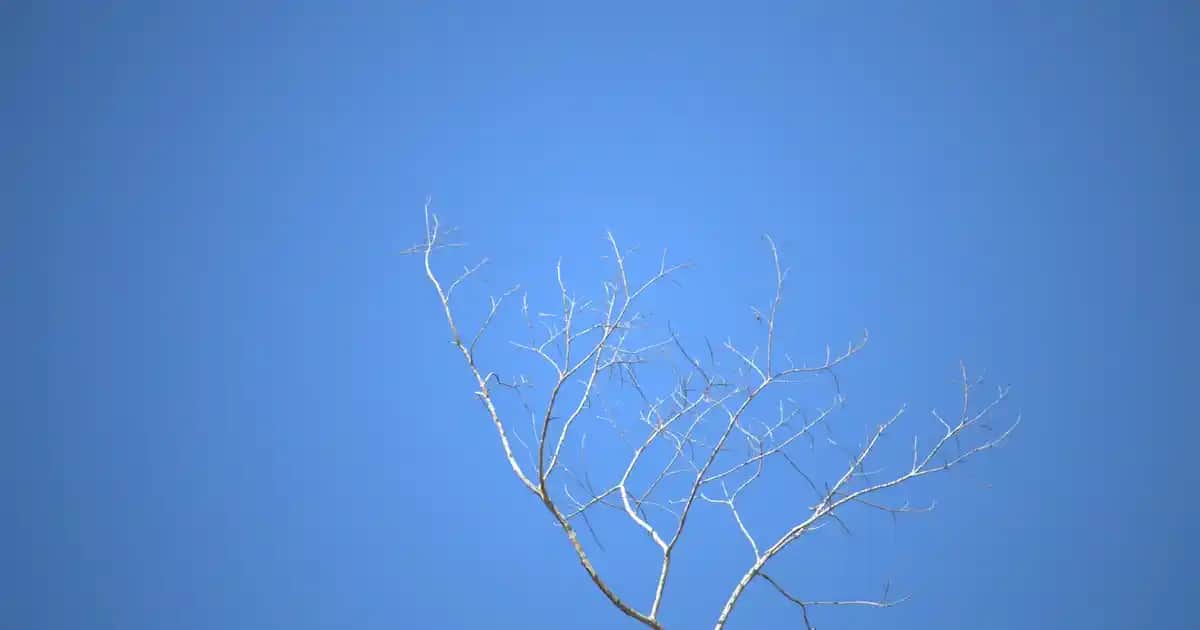 Fotoğraflı Gece Lambası ile Kişisel ve Estetik Dekorasyon Çözümleri