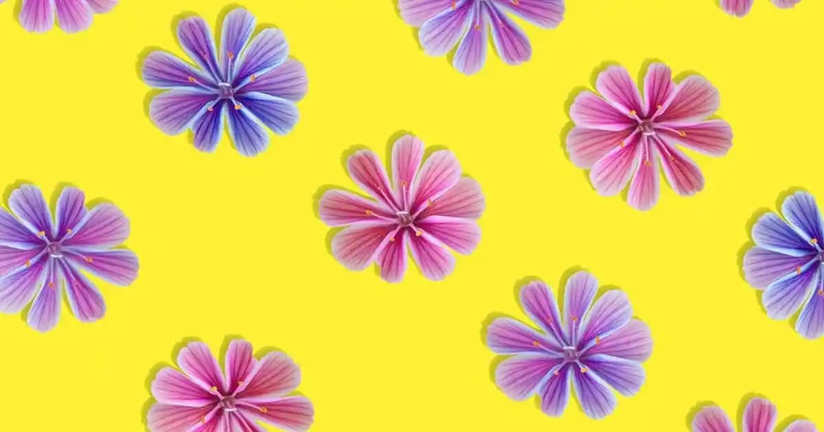 Göz Almayan Avize Seçenekleriyle Modern ve Konforlu Dekorasyon İpuçları