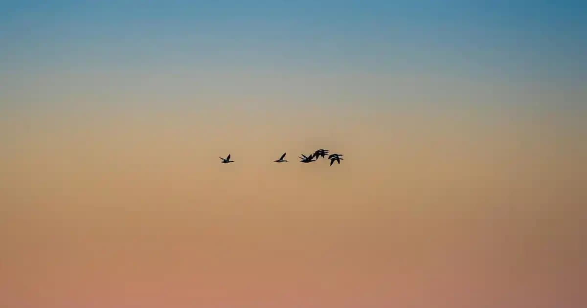 Gri Oda Dekorasyonu: Modern ve Klasik Tarzlarda Şıklık ve Zarafet Yaratma Rehberi