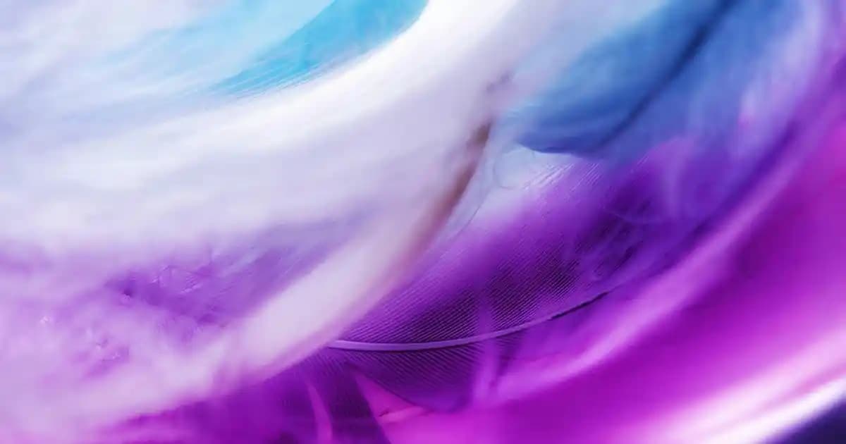 Gri Siyah Çerçeveli Halılar ile Modern ve Şık İç Mekan Dekorasyonları