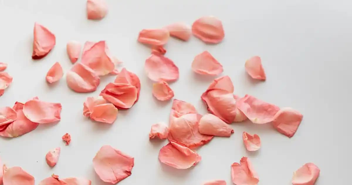 Hasır Ahşap Sandalye Dekorasyon Trendleri ve Seçim Rehberi