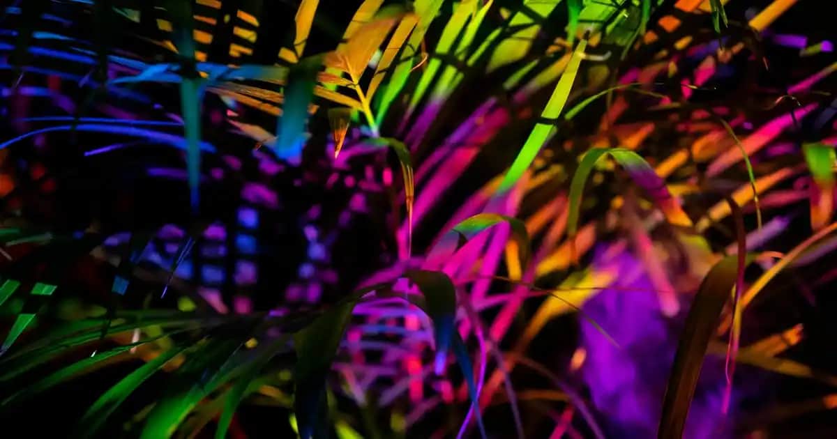 Hasır Amerikan Servisi ile Doğal ve Şık Masa Dekorasyonları Nasıl Yapılır