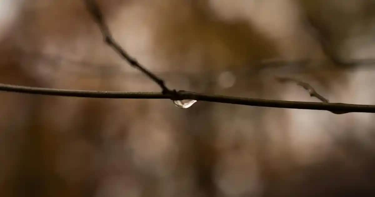 Hasır Avizeler ile Mekânlarınıza Doğal ve Şık Bir Dokunuş Sağlayan Dekorasyon Seçenekleri