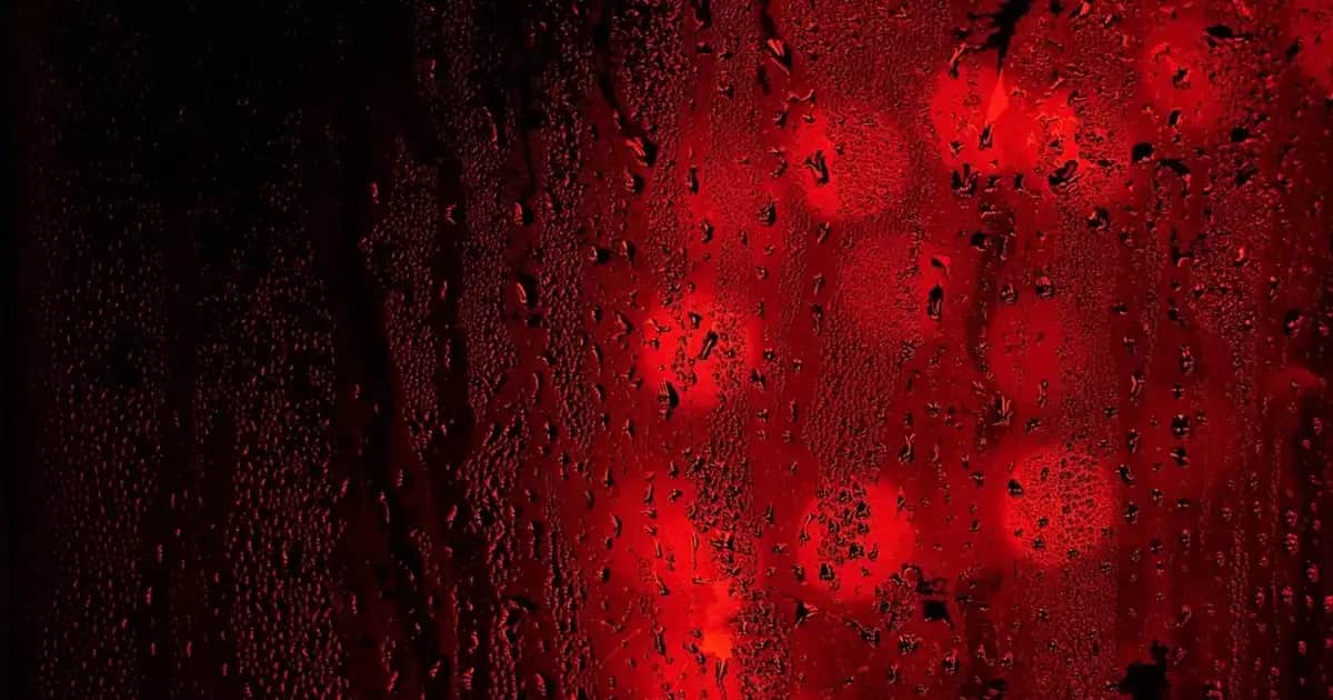 Hasır Dolaplar ile Evinize Doğal ve Şık Bir Dokunuş Sağlayan Dekorasyon Fikirleri