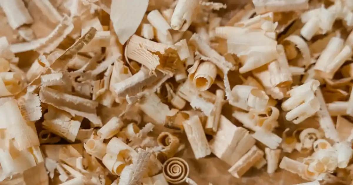 Hasır Gardrop Modelleri ve Dekorasyonda Doğal Şıklık Yaratma Rehberi