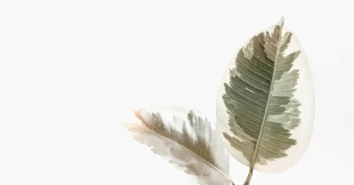 Hasır İpli Avize ile Doğal ve Şık Mekan Dekorasyonu Yaratmanın Yolları