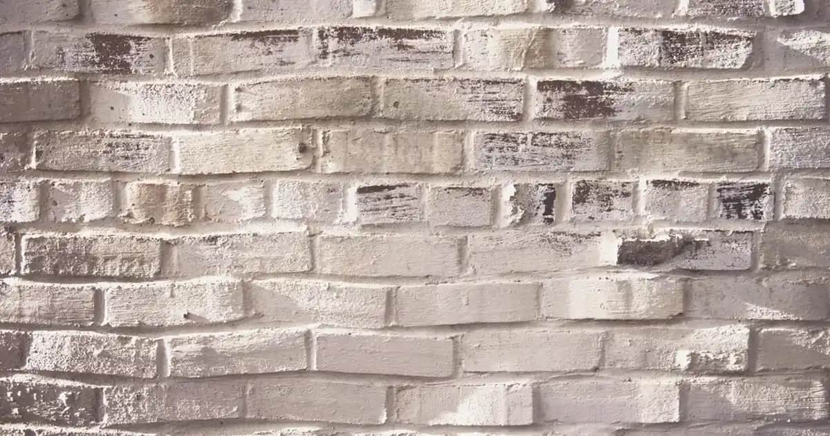 Hasır Kilim ile Doğal ve Şık Dekorasyon Çözümleri Sunan Modern ve Geleneksel Ürünler