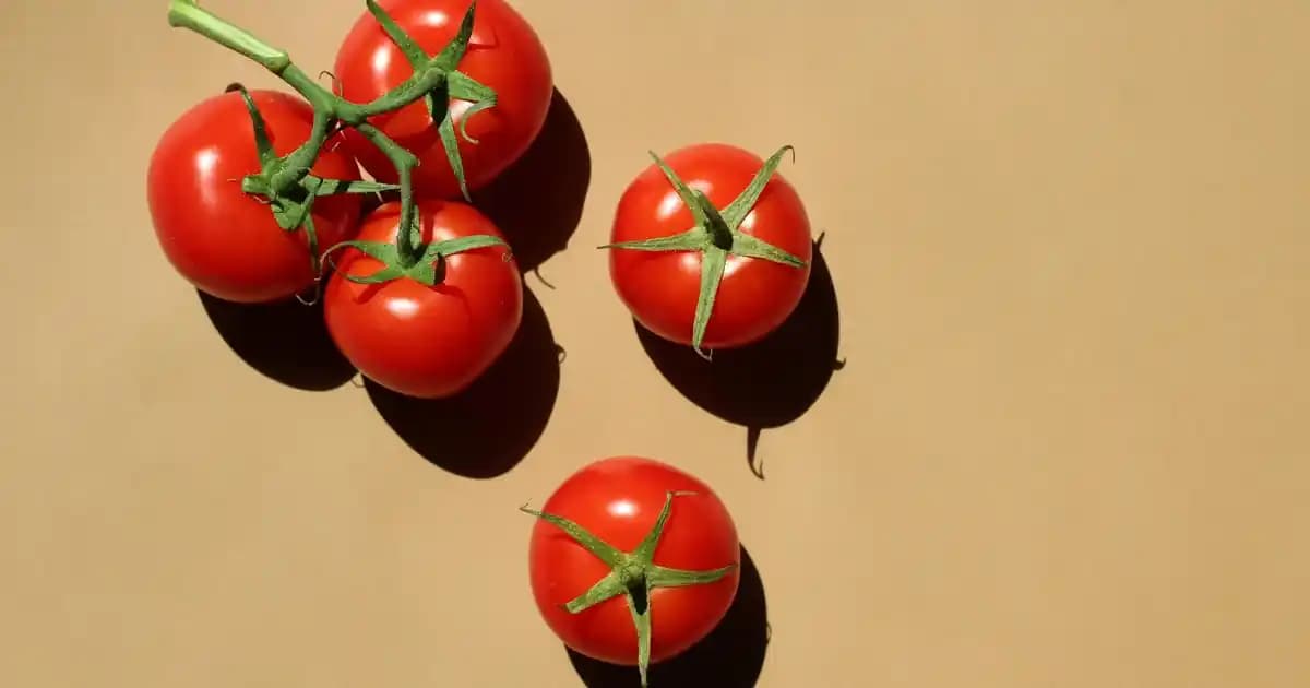 Hasır Vazo Yapımı: Doğal ve Şık Dekorasyon İçin Pratik Rehber