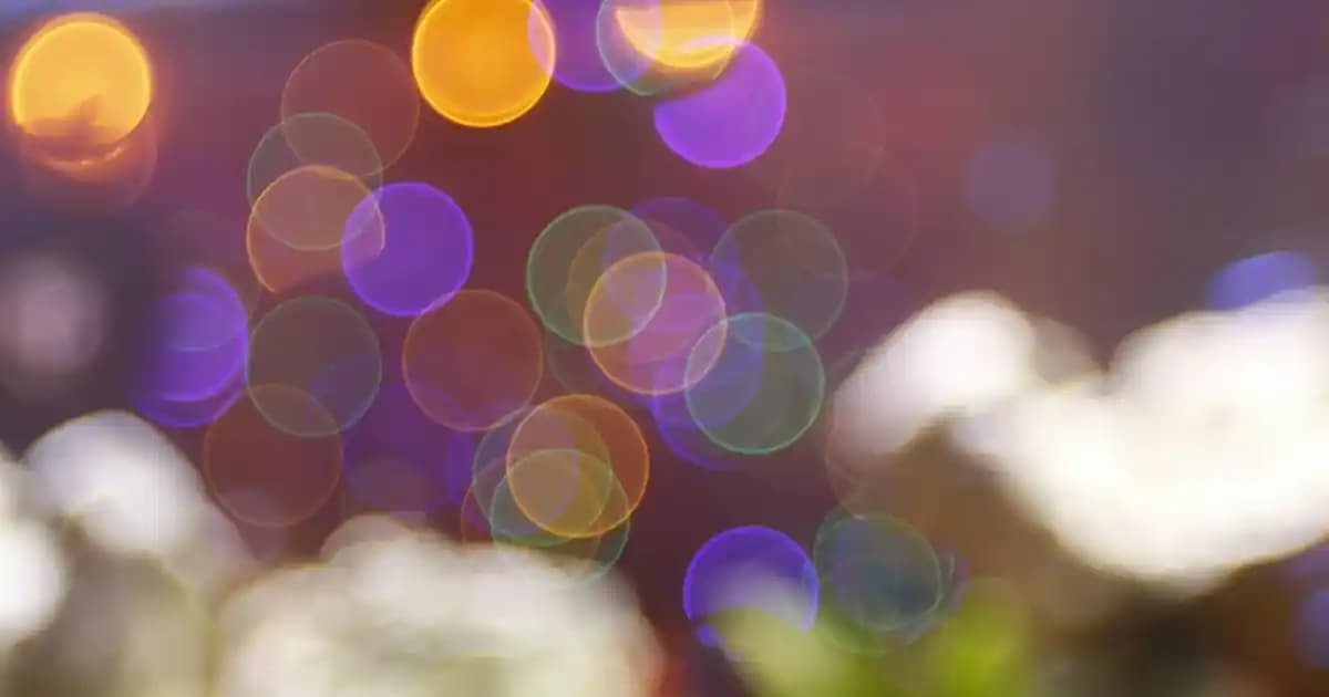 Hazeranlı Yemek Masası Takımı: Doğal ve Dayanıklı Dekorasyon Seçenekleri