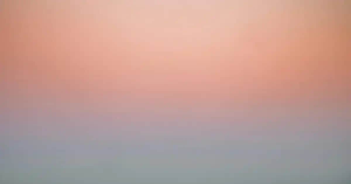 İkea Vantuzlu Duvar Raflarıyla Modern ve Pratik Dekorasyon Çözümleri