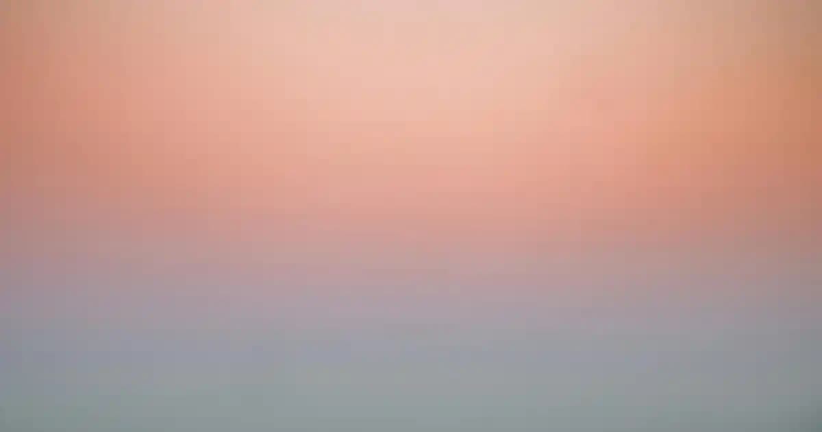 İkea Vantuzlu Duvar Raflarıyla Modern ve Pratik Dekorasyon Çözümleri