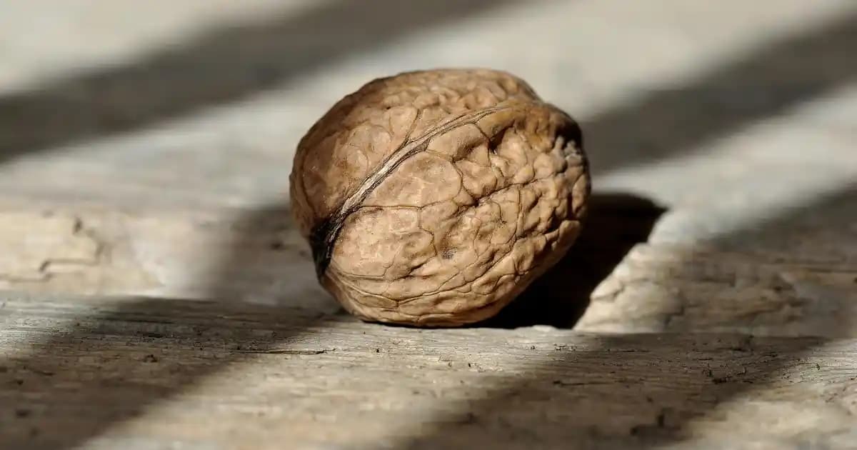 İkili Avize Seçimi ve Dekorasyonda Kullanım İpuçları