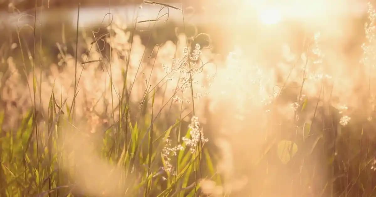 İngiliz Tarzı Yatak Odası Dekorasyonu İçin Şık ve Zarif Duvet Kılıf Takımları