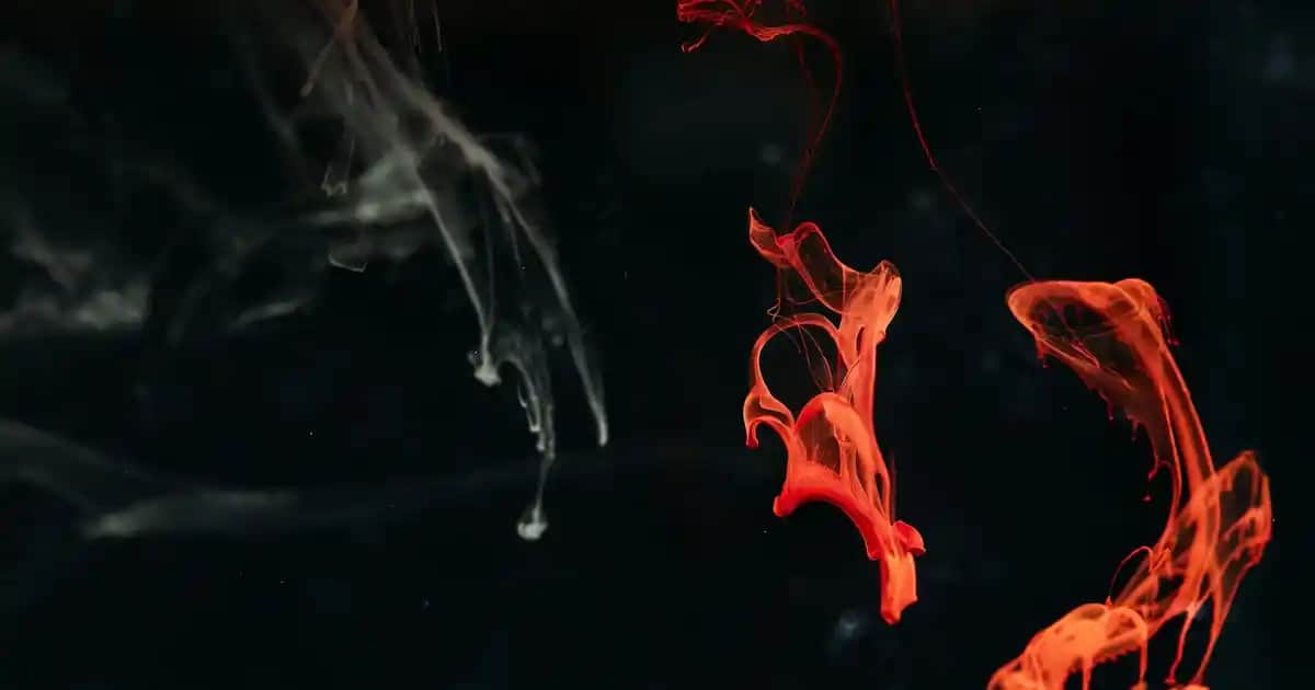 İstanbul’da Güvenilir ve Estetik Tablo Satıcıları ile Dekorasyonunuzu Zenginleştirin