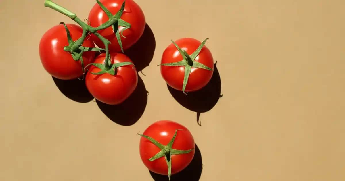 Jüt Görünümlü Kilimler: Doğal ve Şık Dekorasyon İçin Uygun Seçenekler