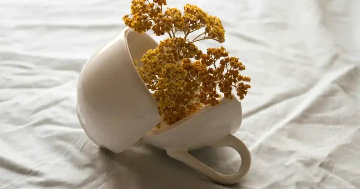 Karaca Home Vazo Koleksiyonu ile Dekorasyonunuza Şıklık Katın ve Mekânlarınızı Yenileyin