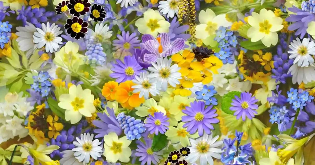 Kare Cam Orta Sehpa: Modern Dekorasyonun Şık ve Fonksiyonel Parçası