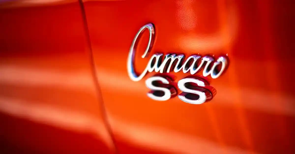 Katlanabilir Kamp Sandalyesi Dekorasyonda Pratik ve Şık Çözümler Sunar