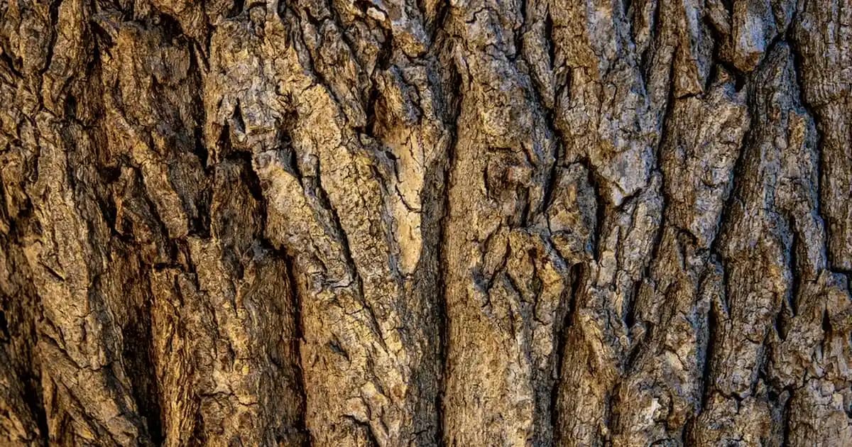 Katlanır Sandalye Dekorasyonunda Pratiklik ve Estetiği Bir Arada Sunar